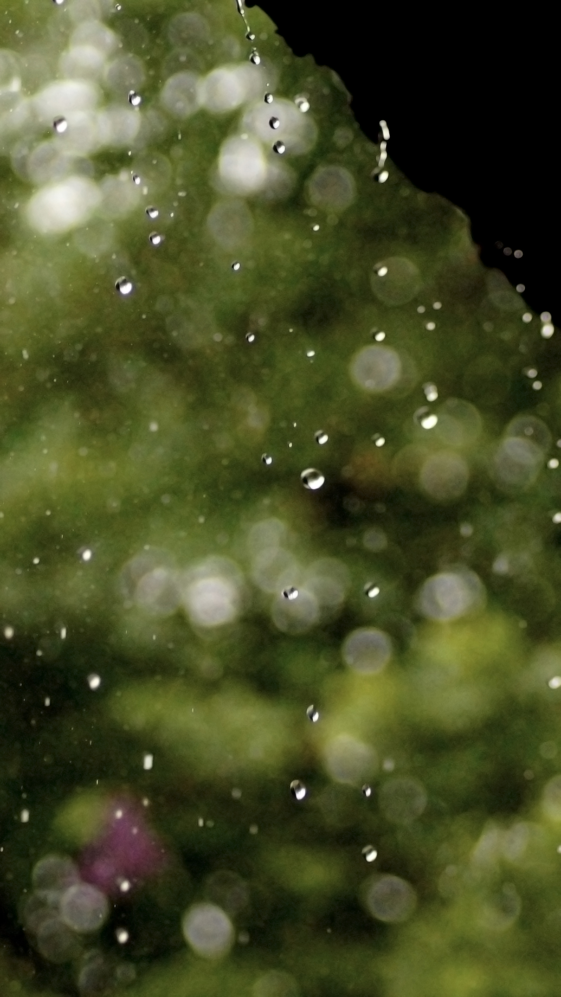 Impermeabile e durevole